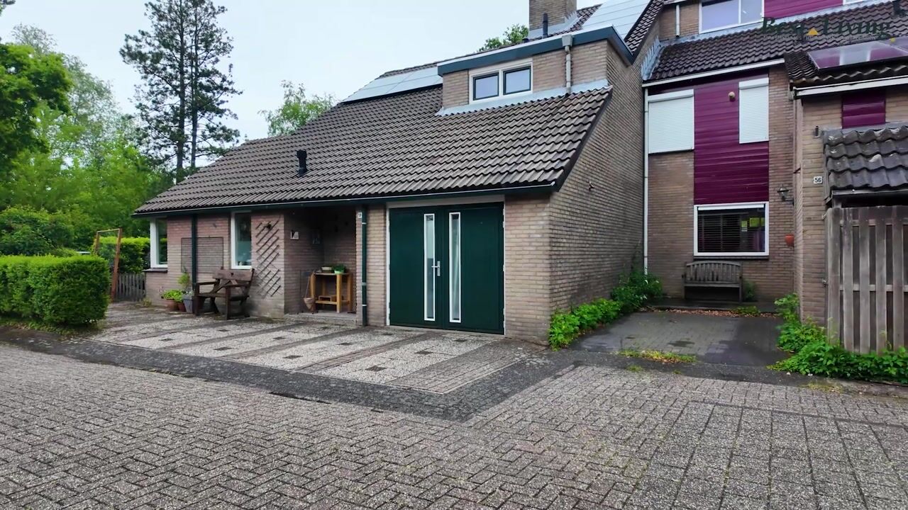 Video van Olmenhof 56