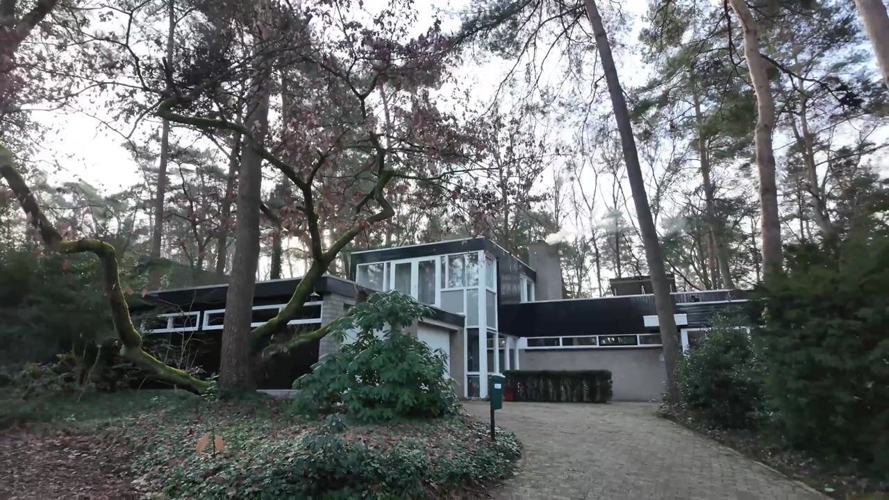 Video van Ravetsmaar 13