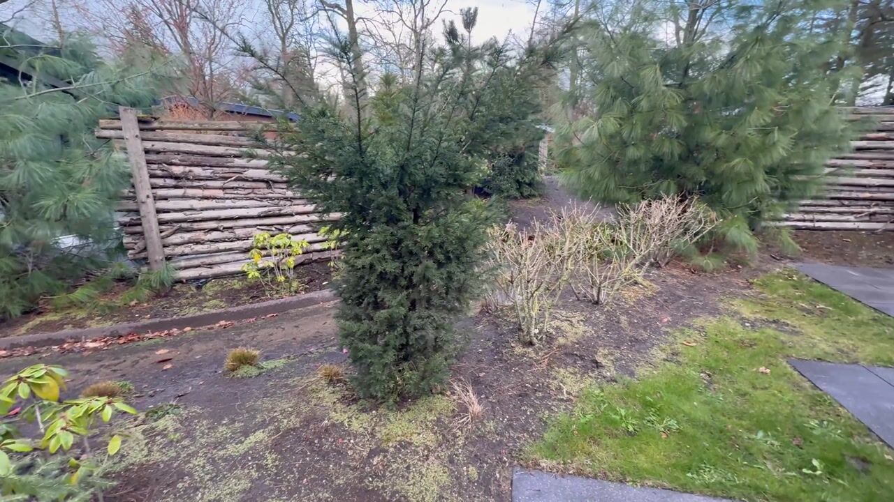 Video of Laan van Laag Kanje 1-142