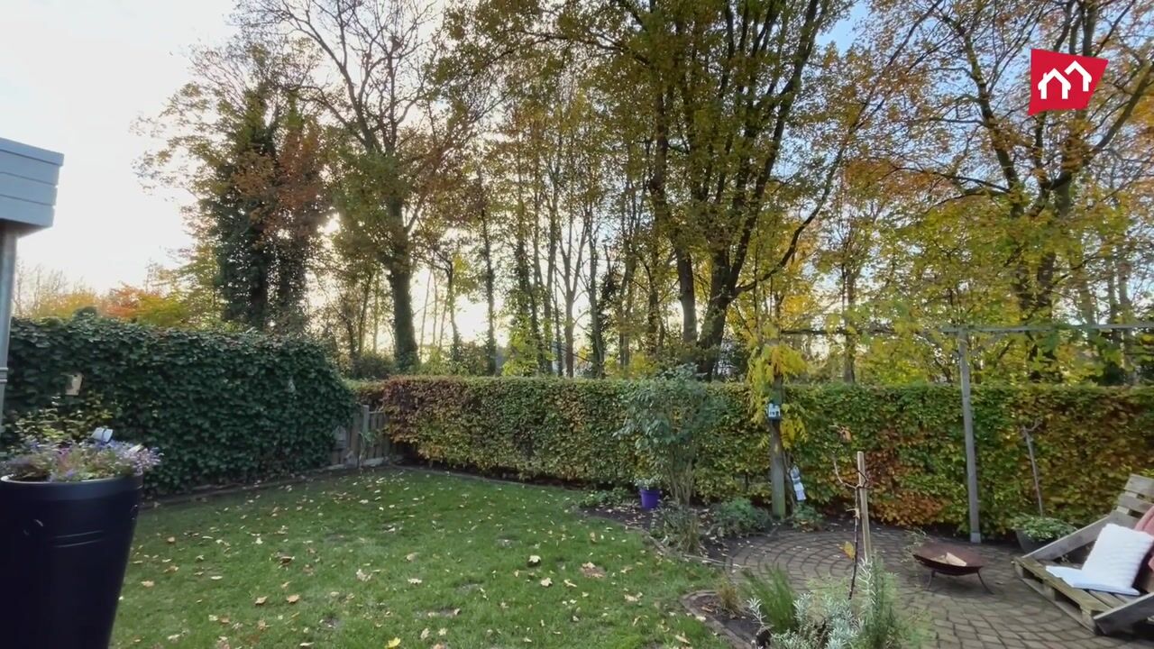 Video van Helmkruid 4