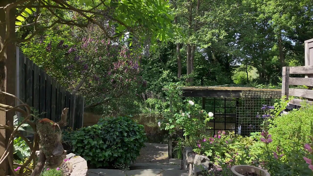 Video van Engelenburg 128