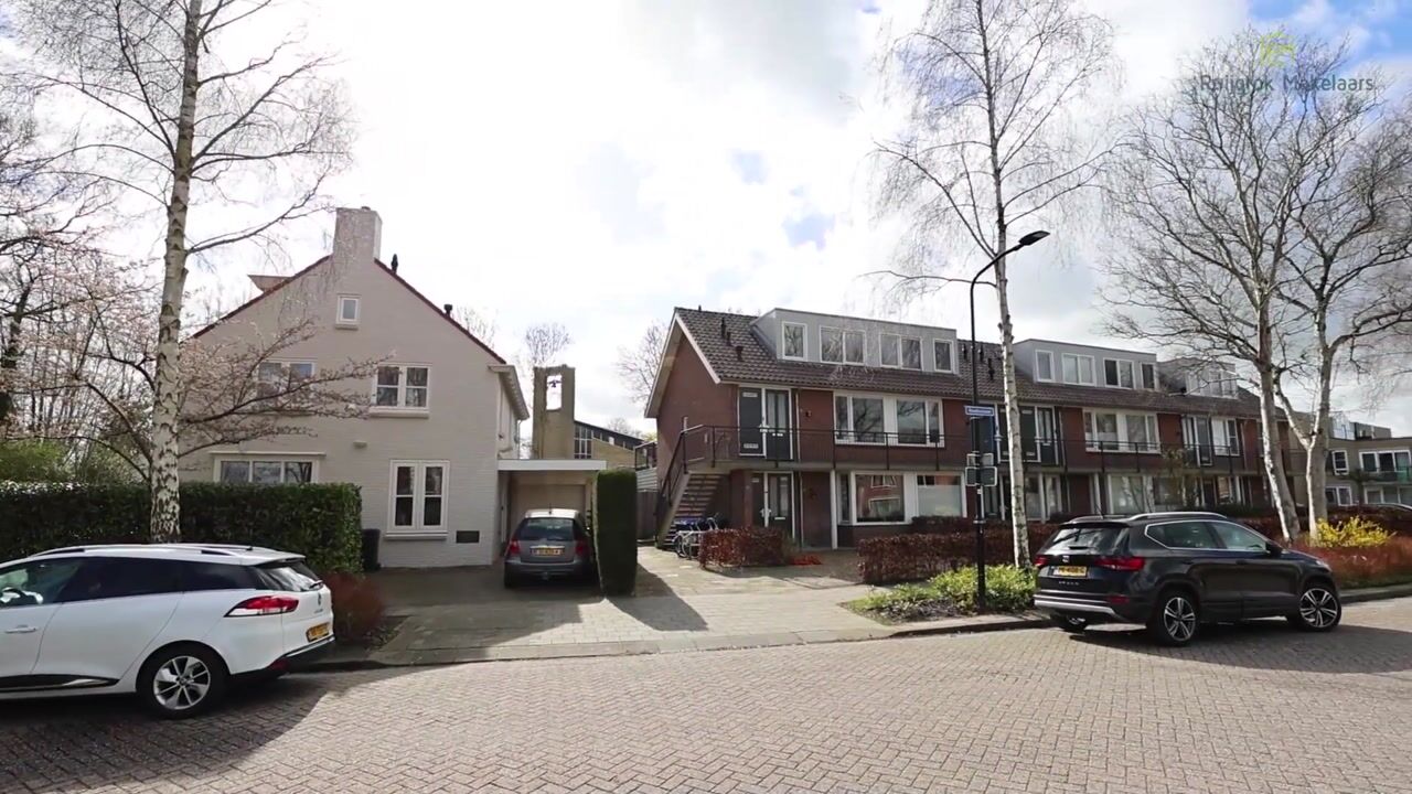 Video van Raadhuislaan 33