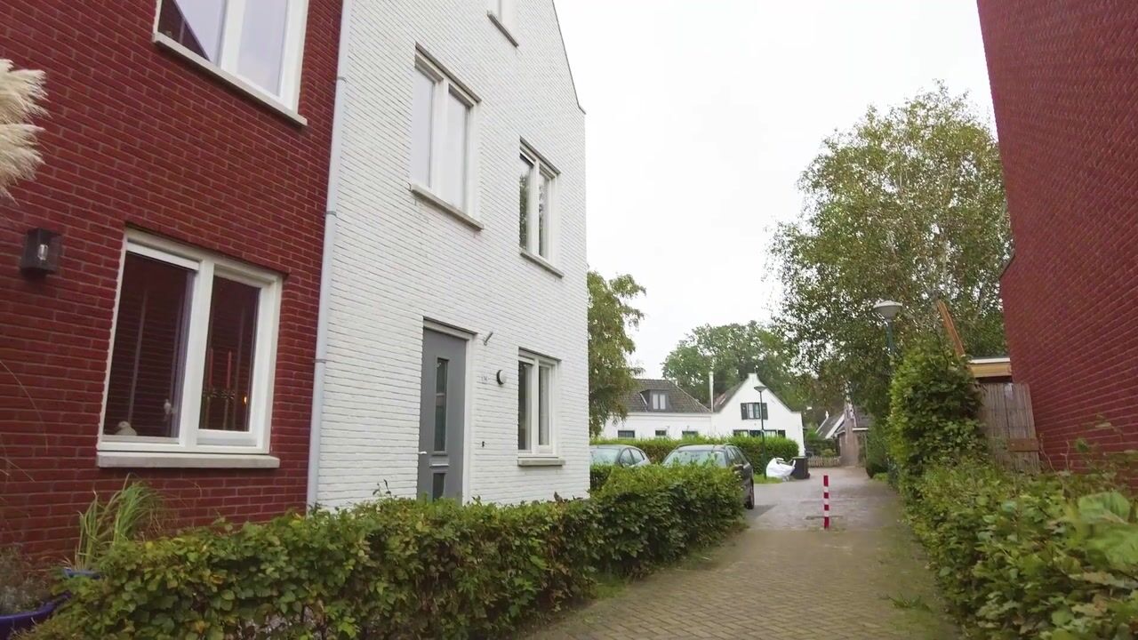 Video of Lion Cachethof 14