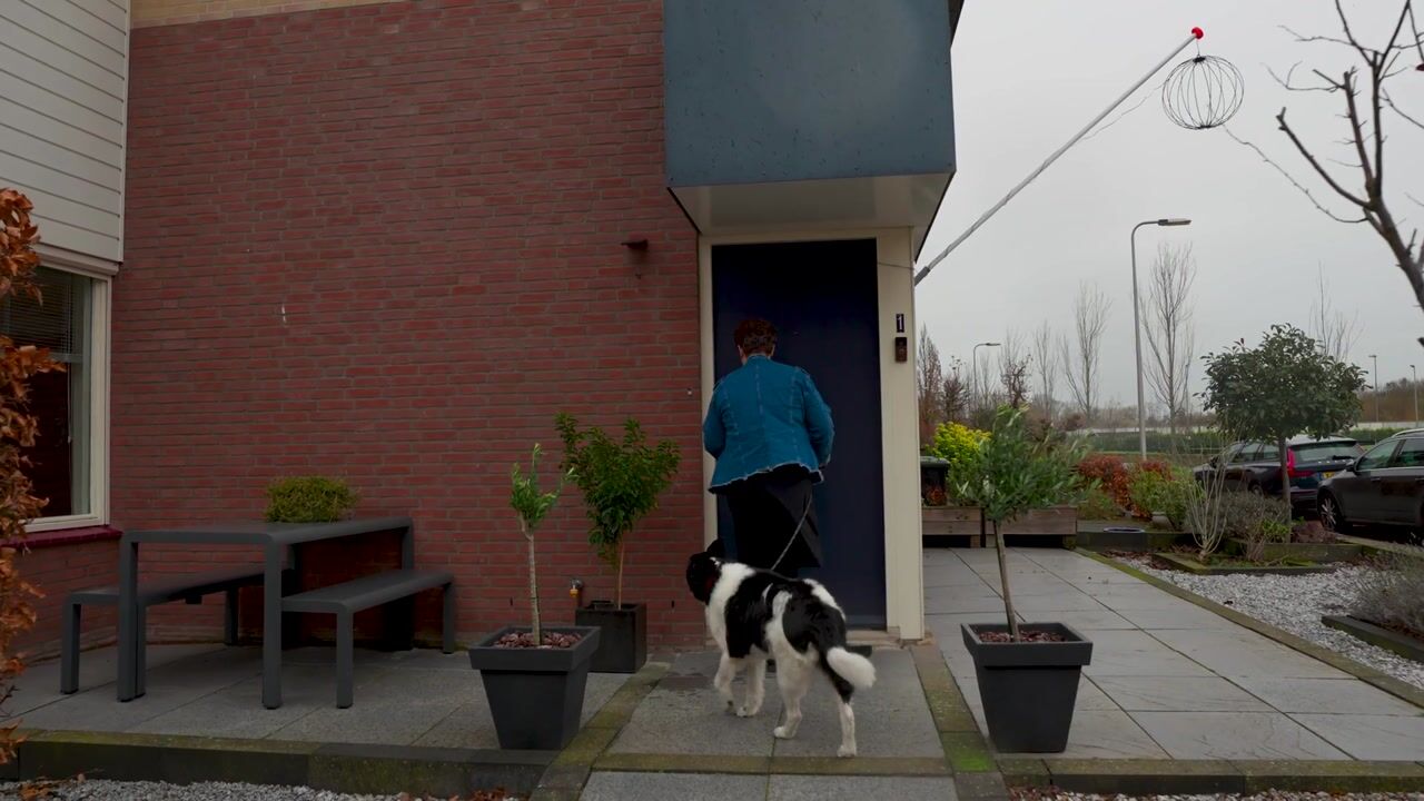 Video of Standerdmolen 1