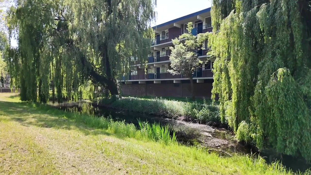 Video of Opaalstraat 295