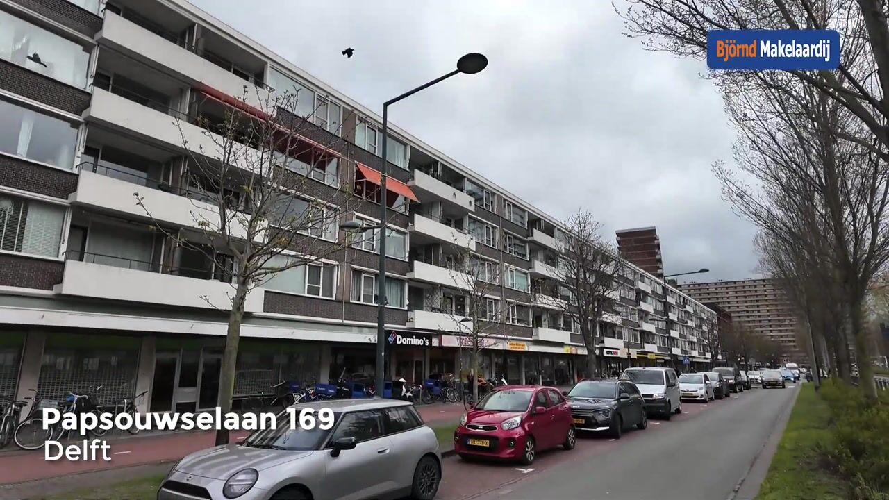 Video van Papsouwselaan 169