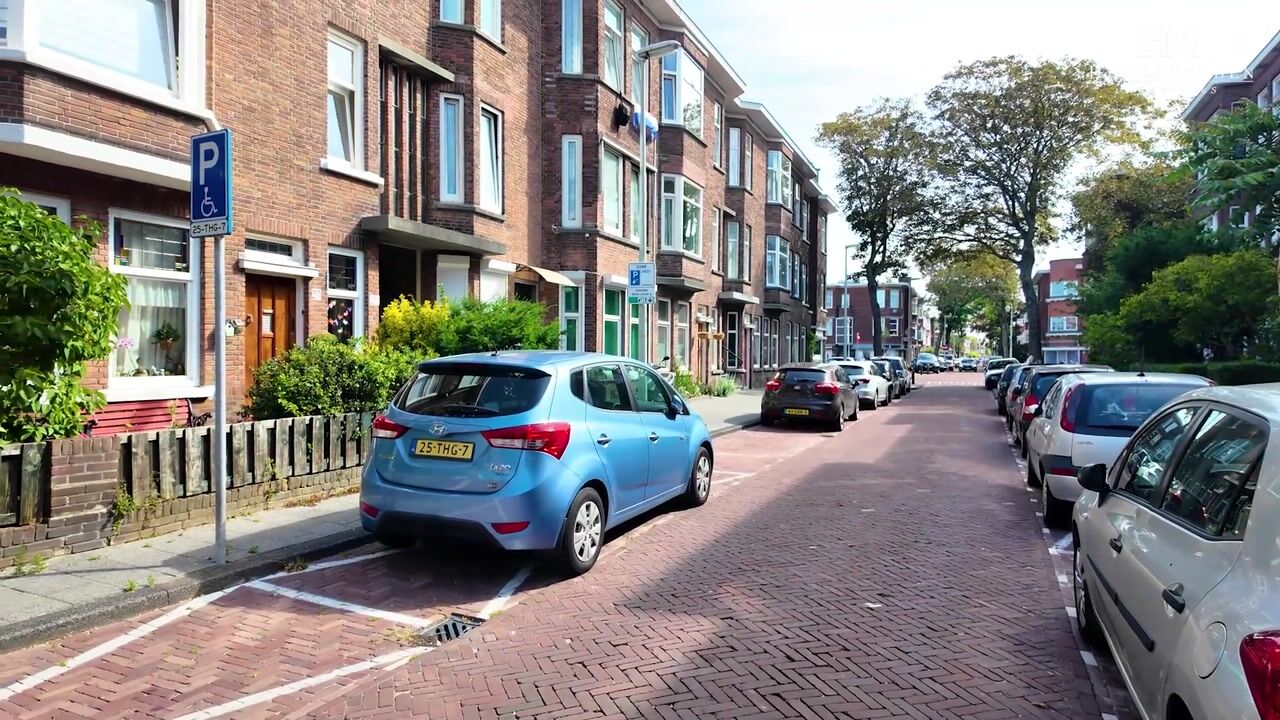 Video van Velpsestraat 225