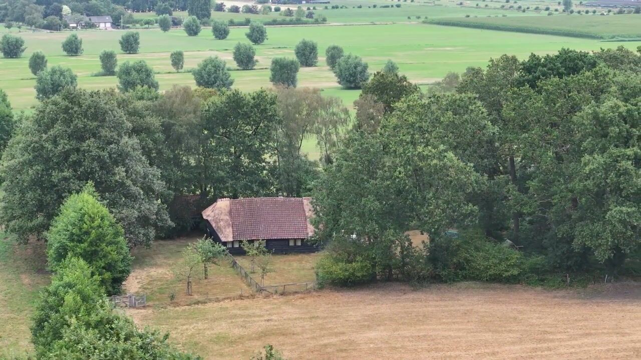 Video van Breeschoten 3