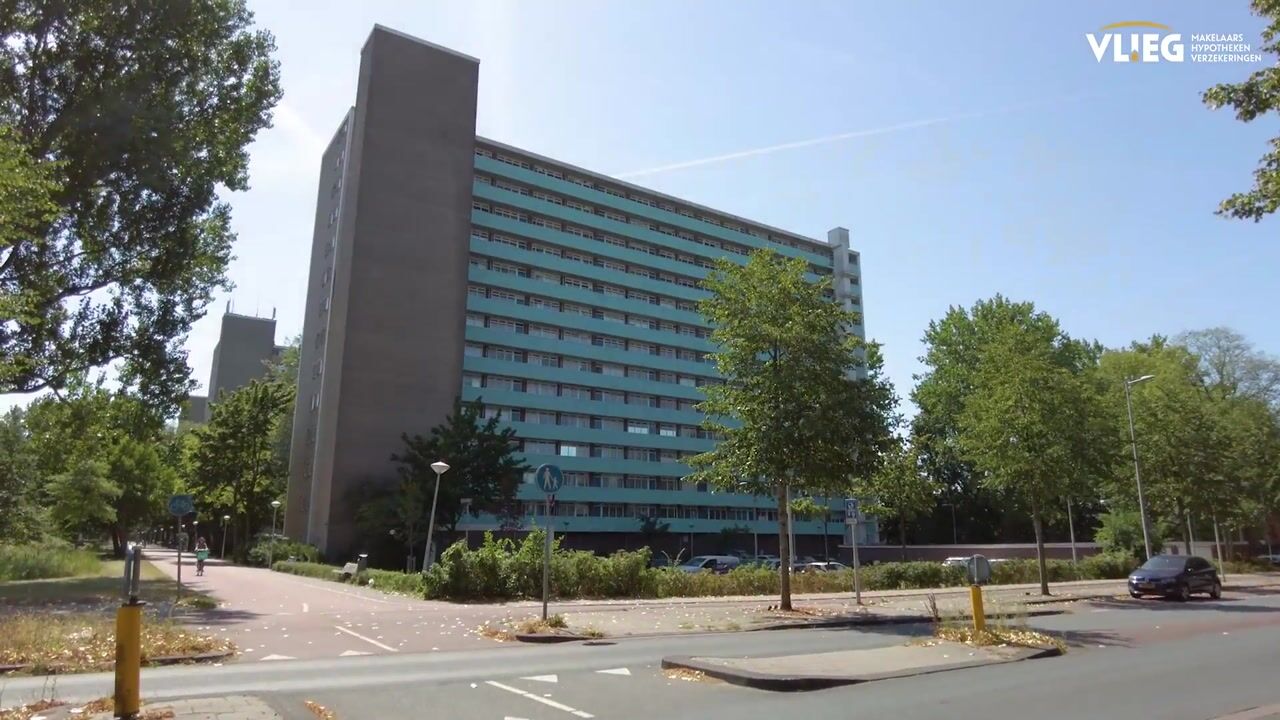 Video van Langswater 903