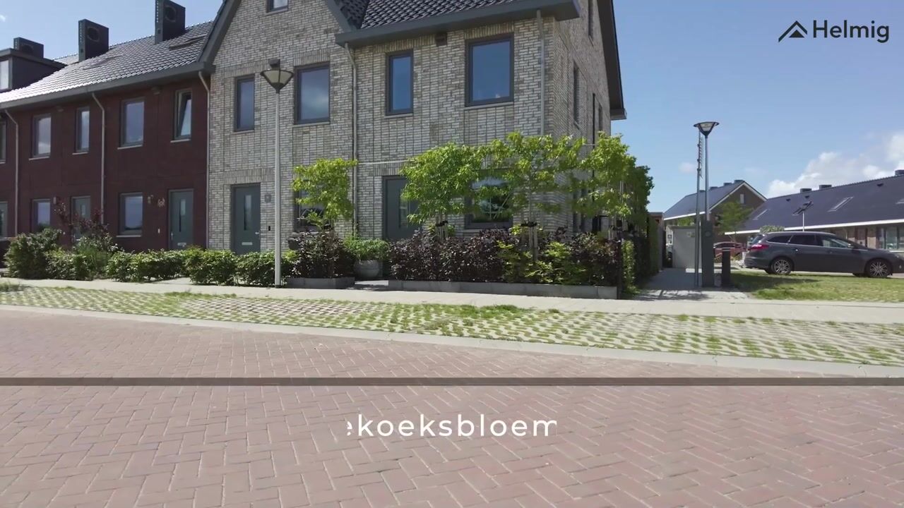 Video van Koekoeksbloem 33