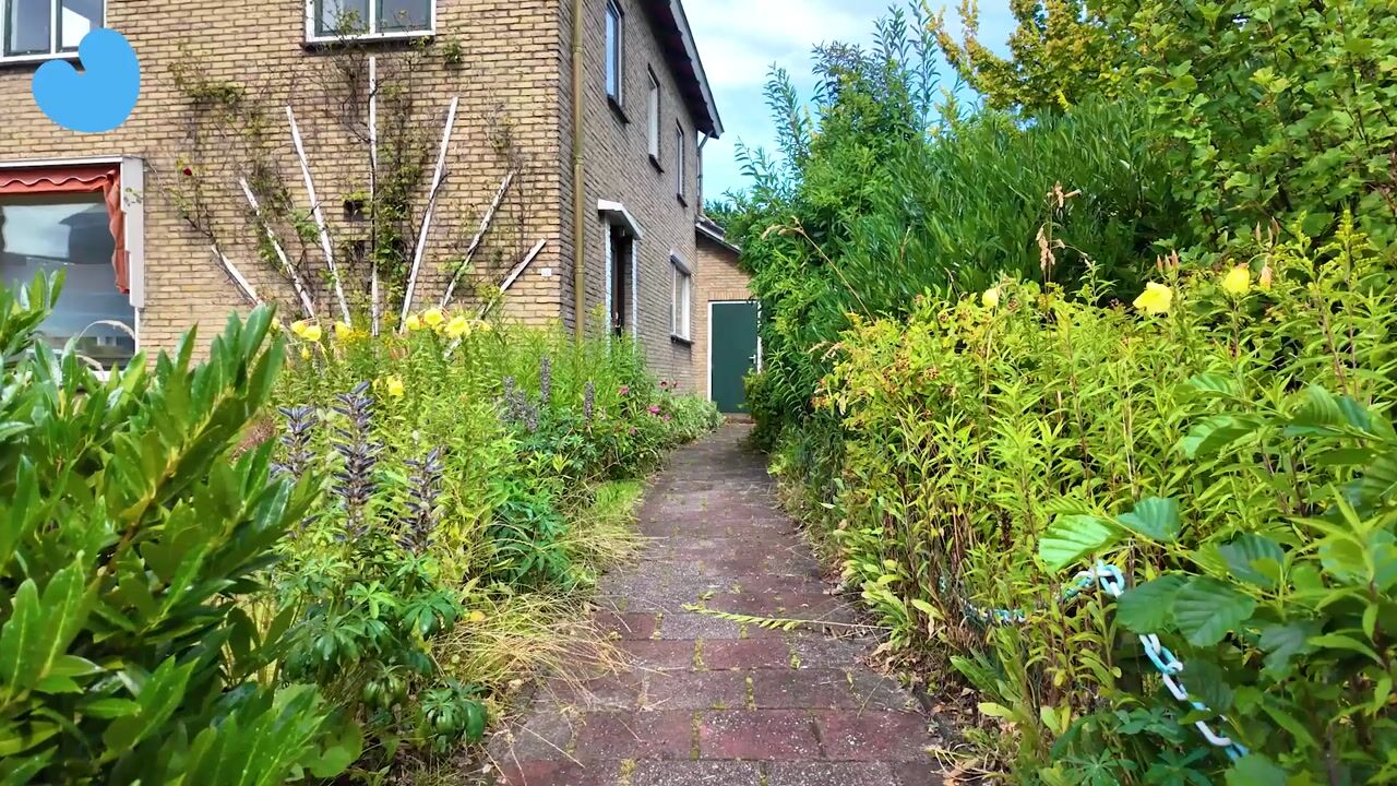 Video of Foswerterstrjitte 40