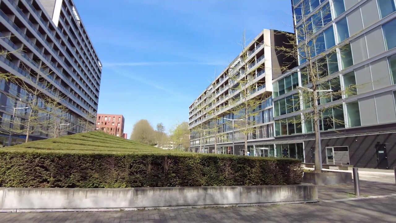 Video van Professor de Moorplein 496