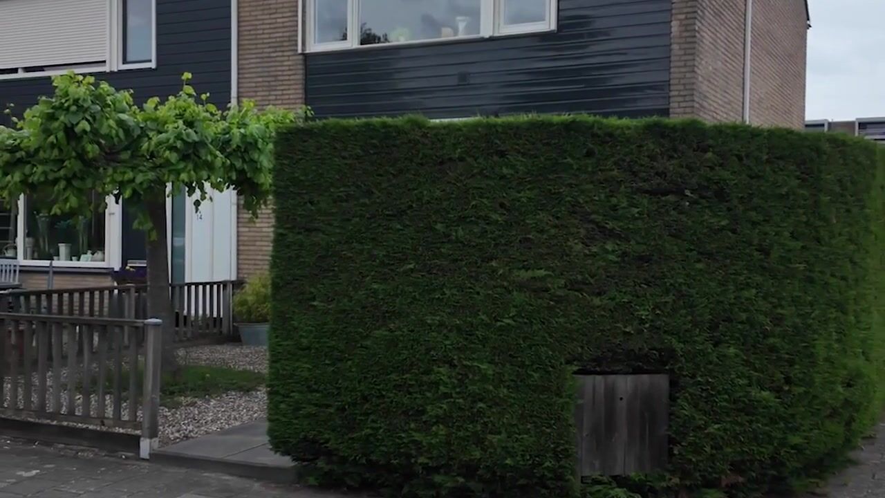 Video van Schorpioenstraat 16