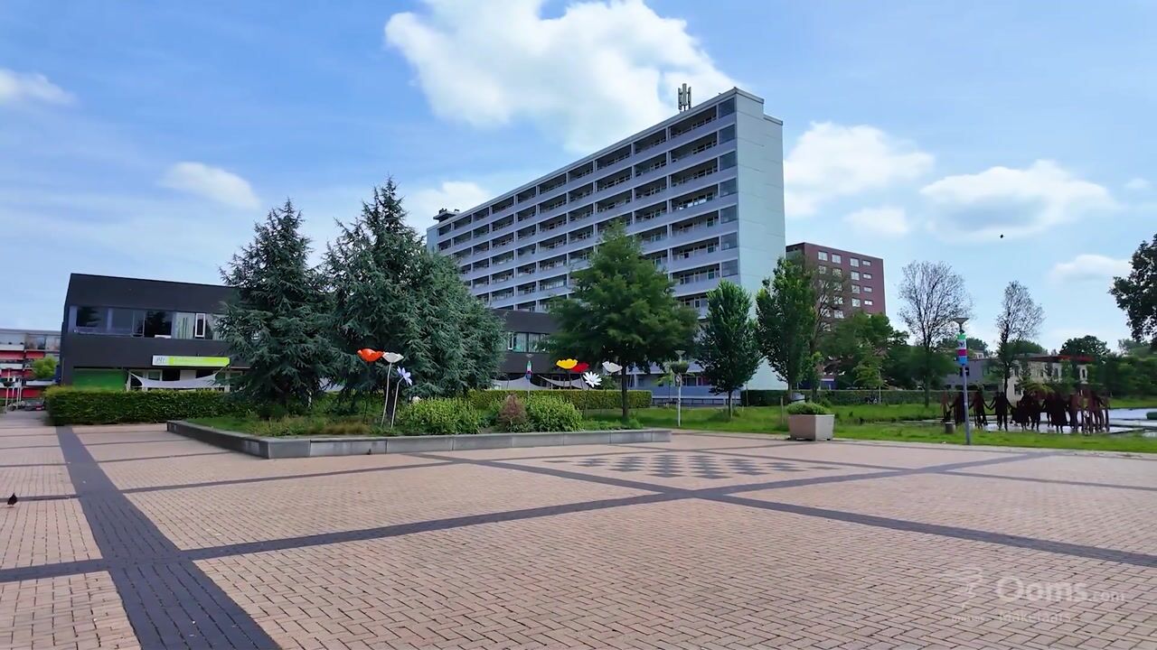 Video van Plein 1953 172