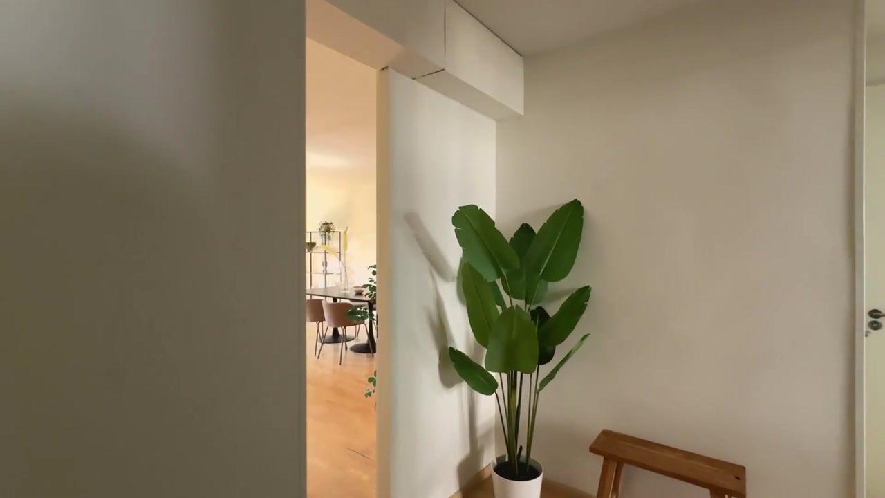 Video van Grootzeil 35