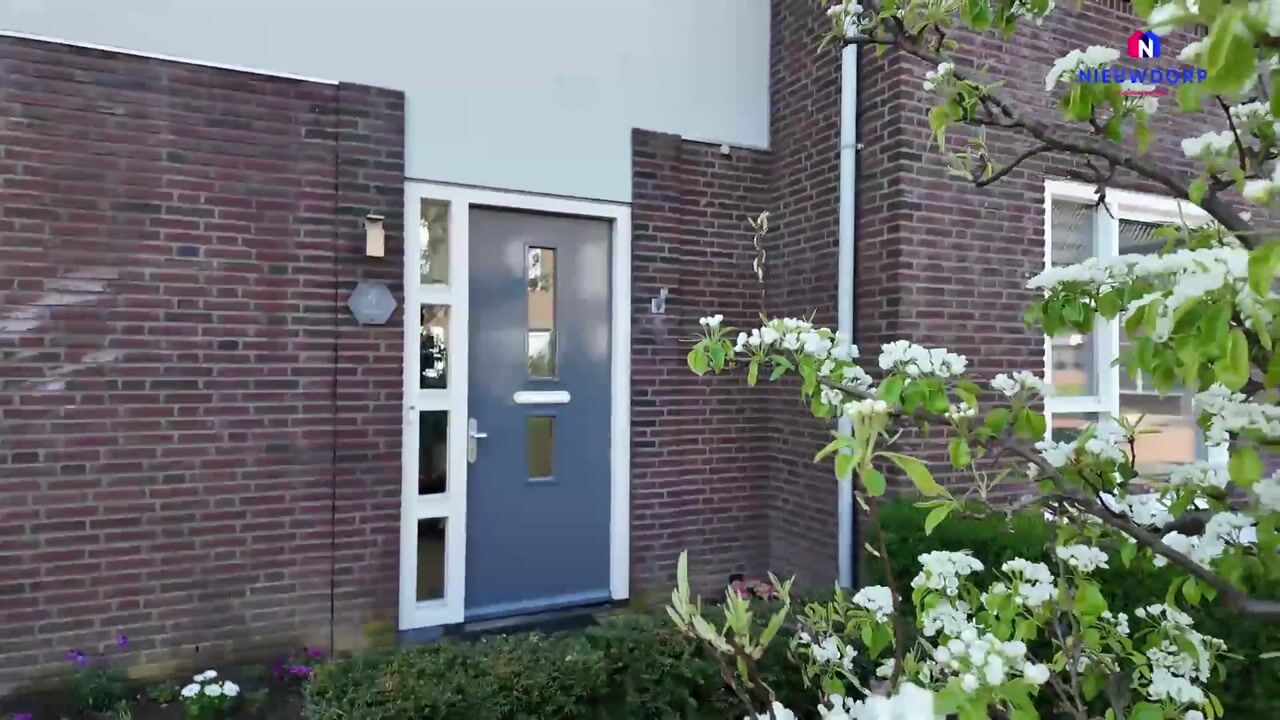 Video van Waterviolier 4