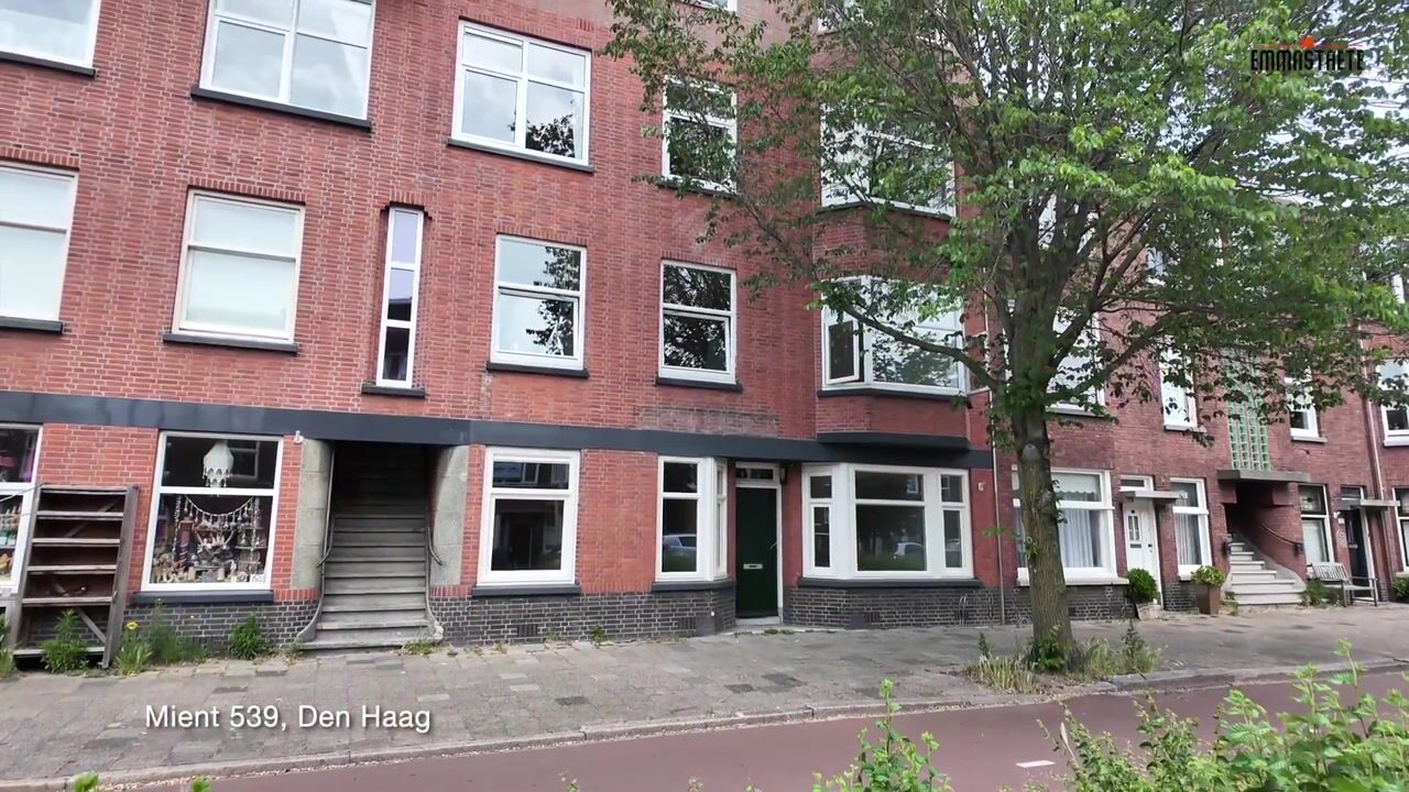 Video van Mient 539