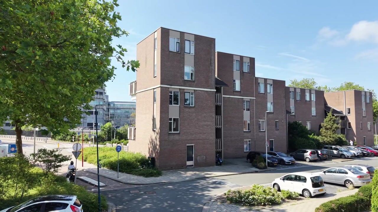 Video van Hildebrandhove 138