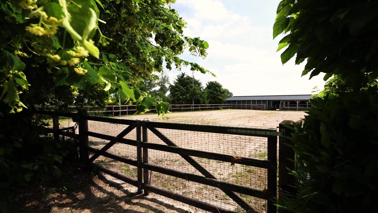 Video van Lange Zuiderweg 62