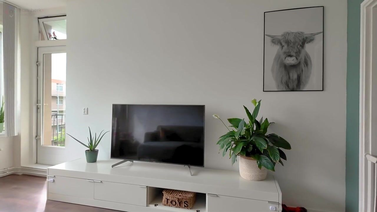 Video van Wilgenlei 108-C