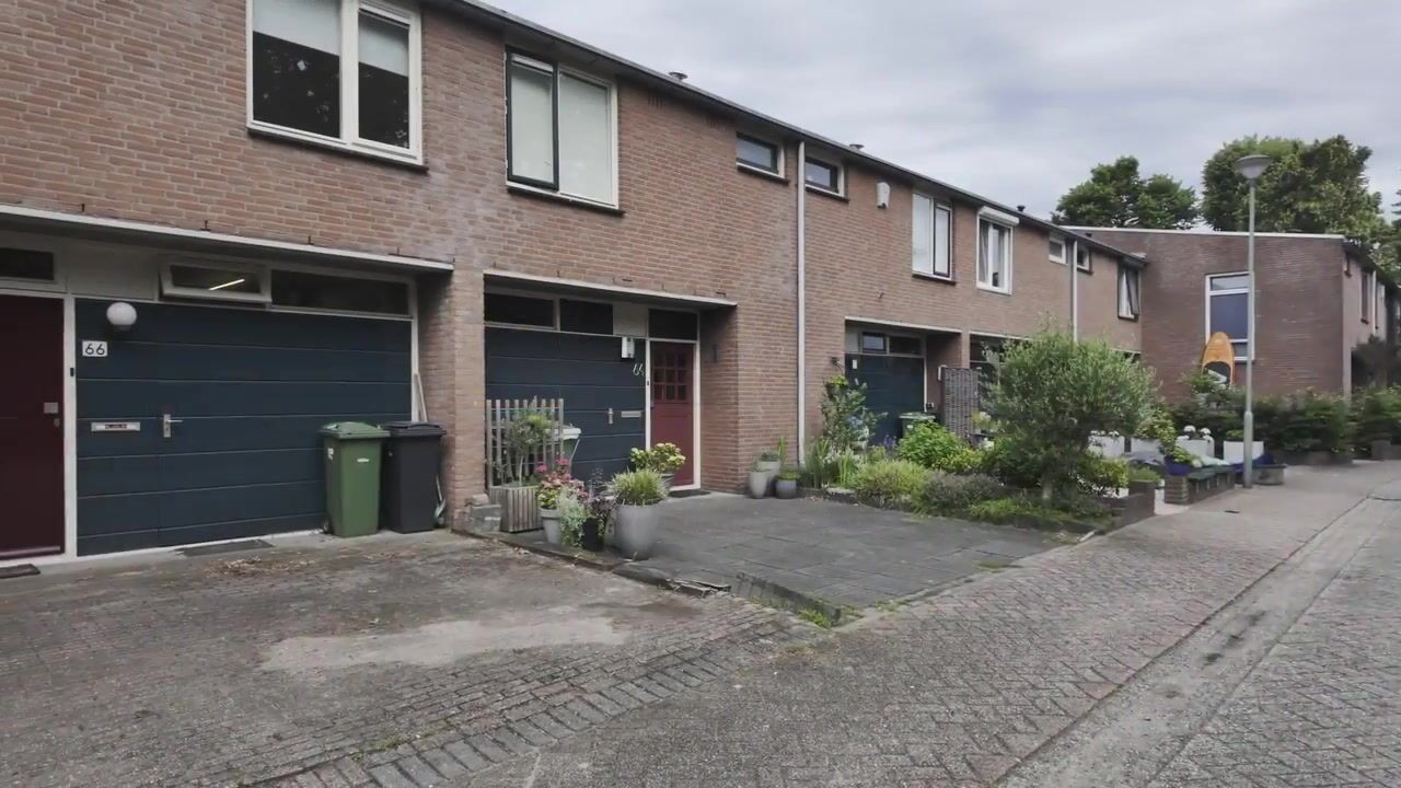 Video of Lindeboom 66