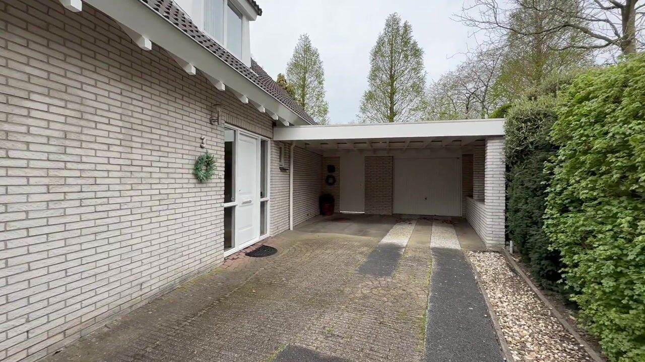 Video van Trasmolen 3