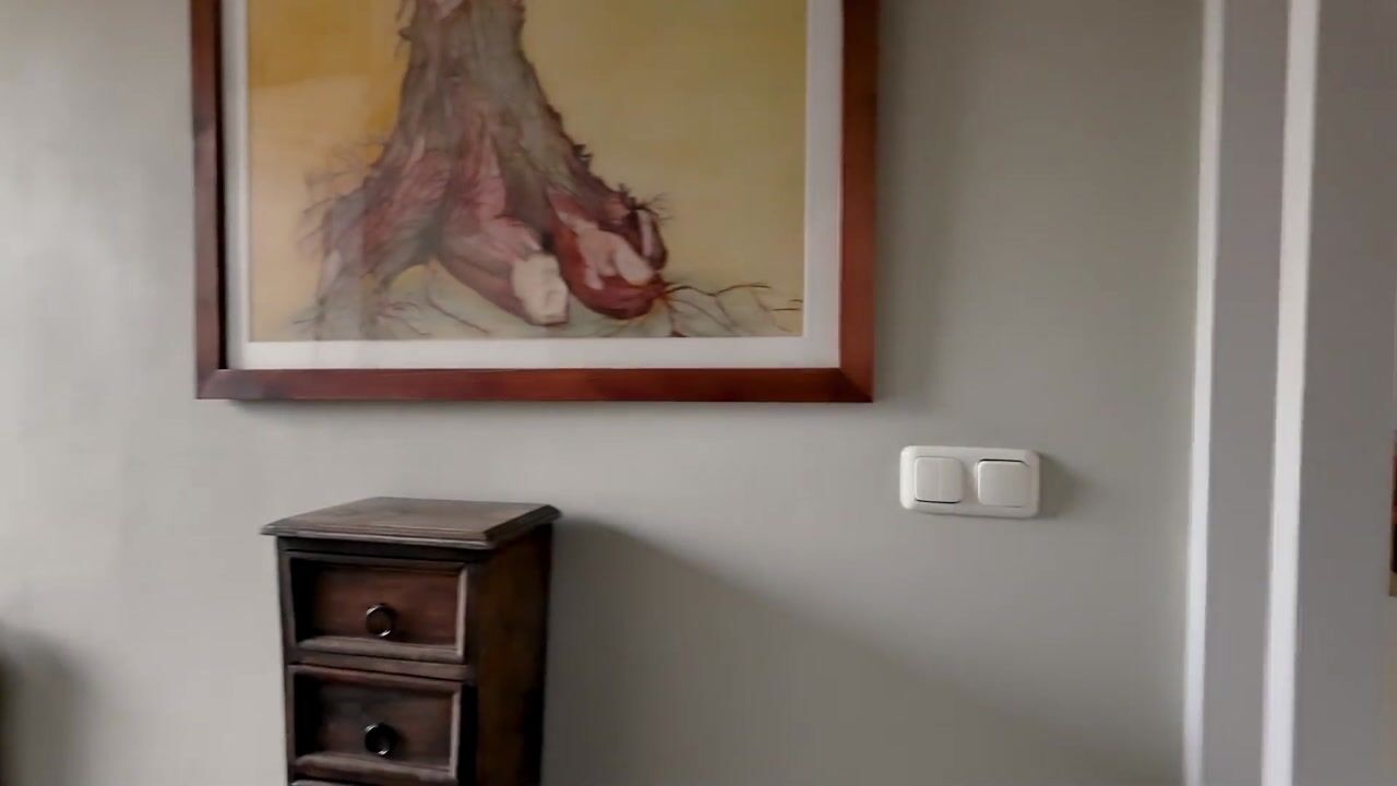 Video van Bunschoterweg 4