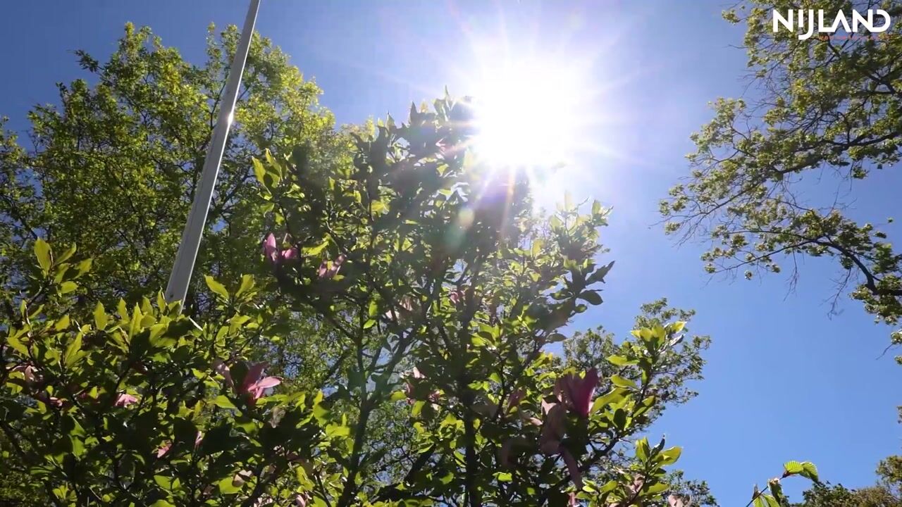 Video van Nieuwe Bussummerweg 184