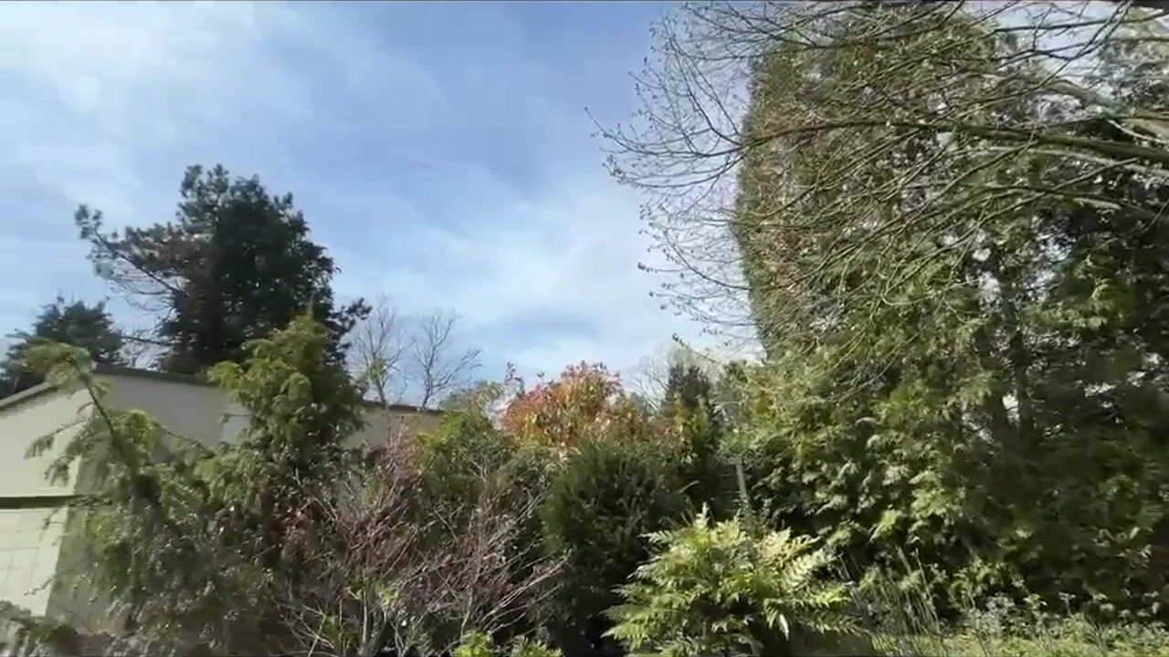 Video of Kieftveen 30-63