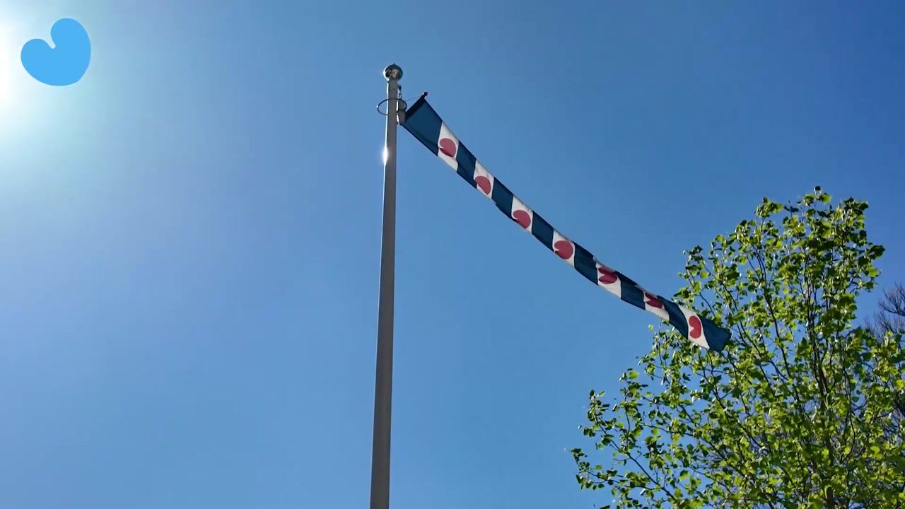 Video van Langebuorren 42