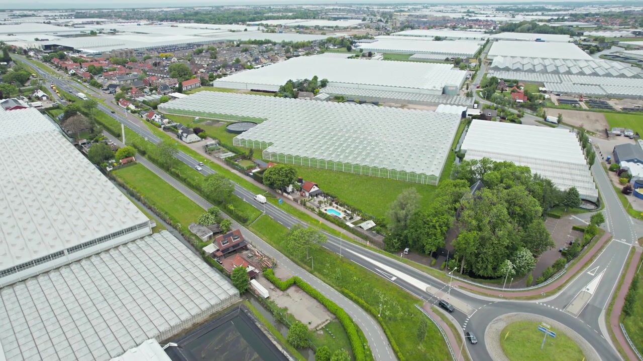 Video van Maasdijk 187