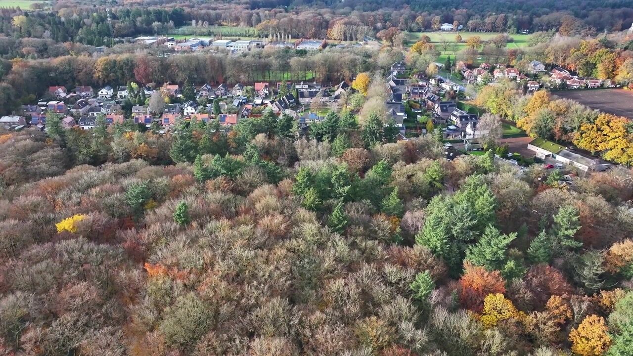 Bekijk video van Palmweg 1