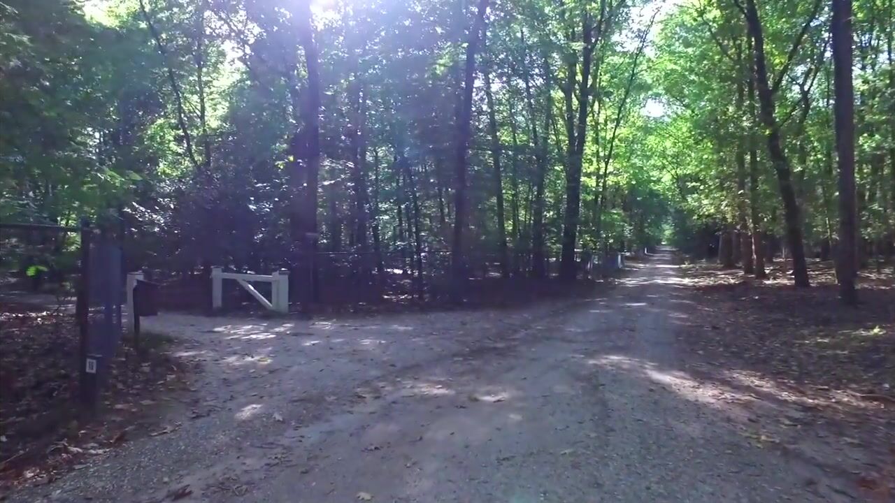 Video van Zonnegloren 19