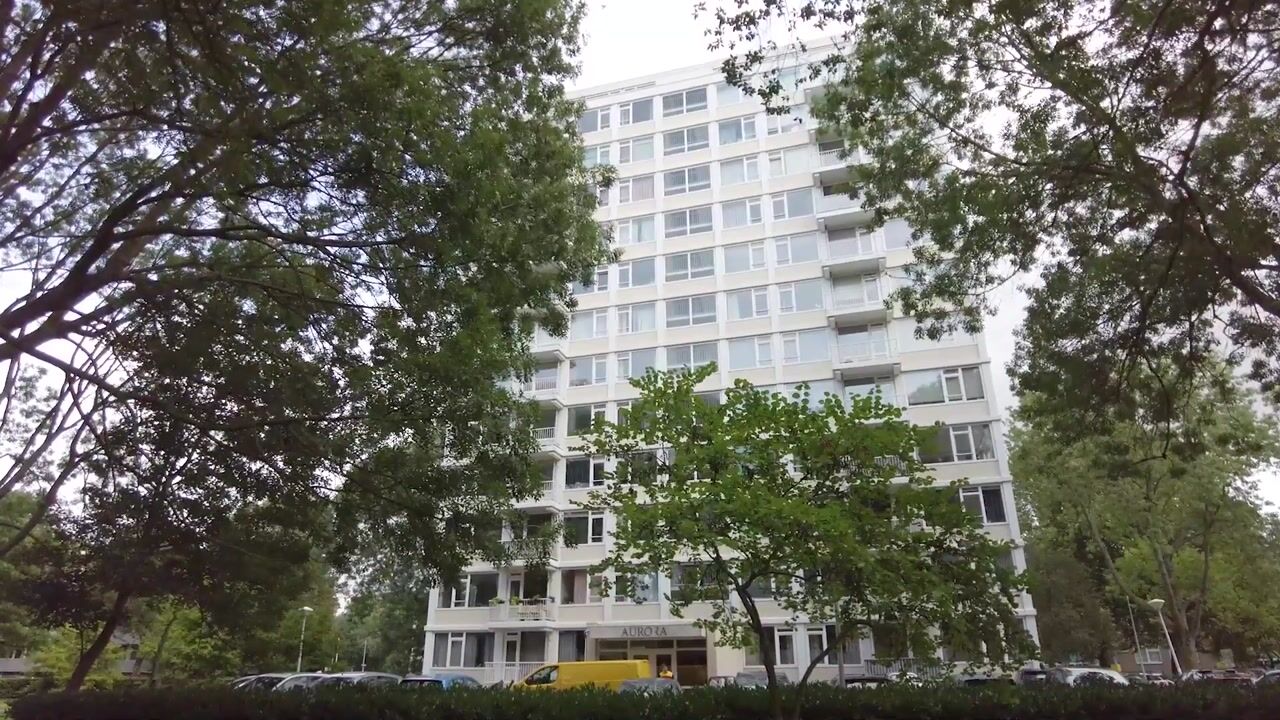 Video van Gerstkamp 182