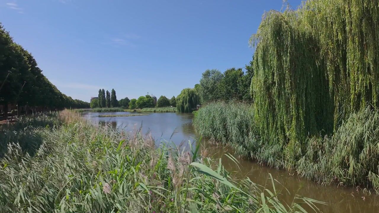 Video van Vivaldisingel 213