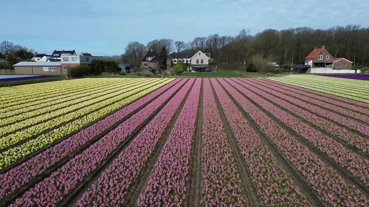 Video of Zilkerduinweg 394-A
