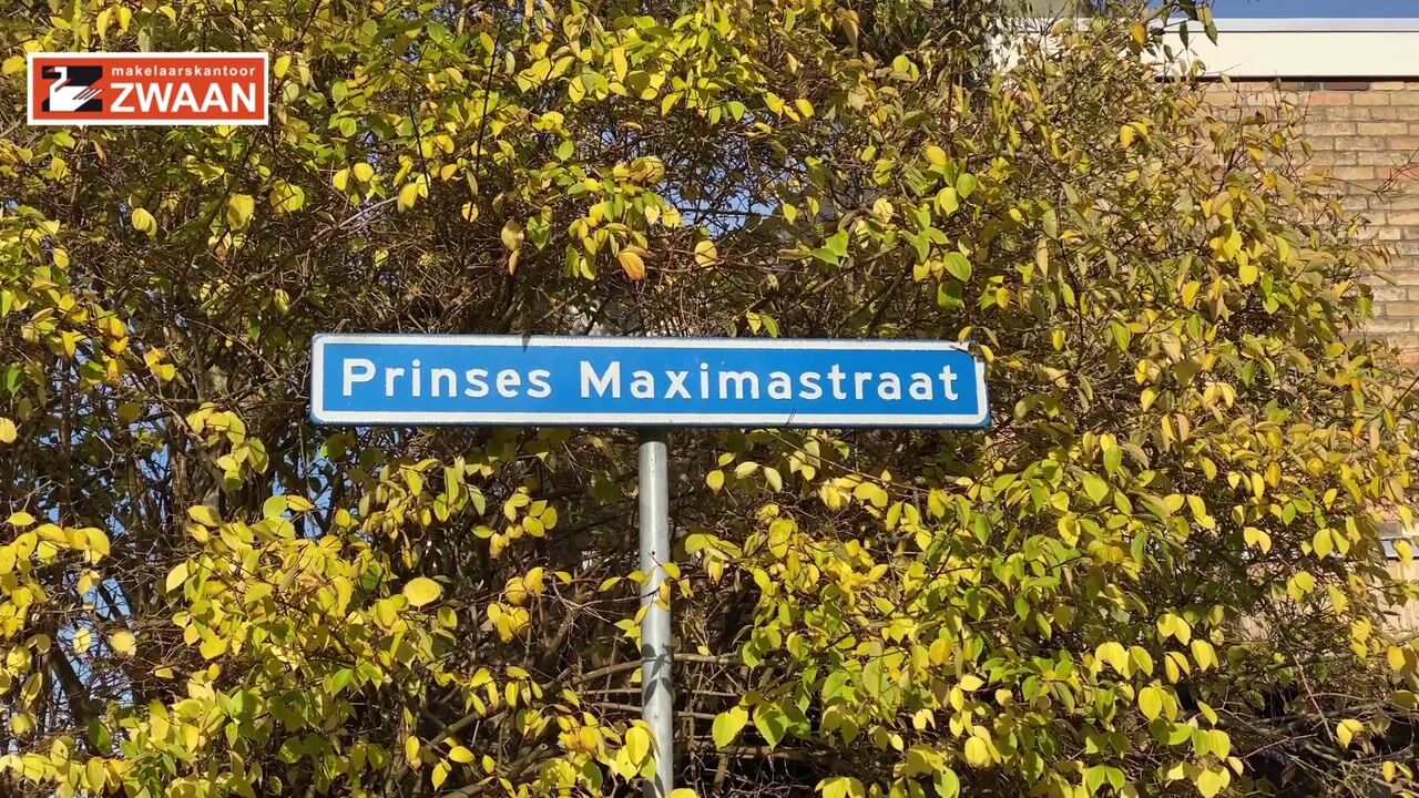 Video of Prinses Máximastraat 10
