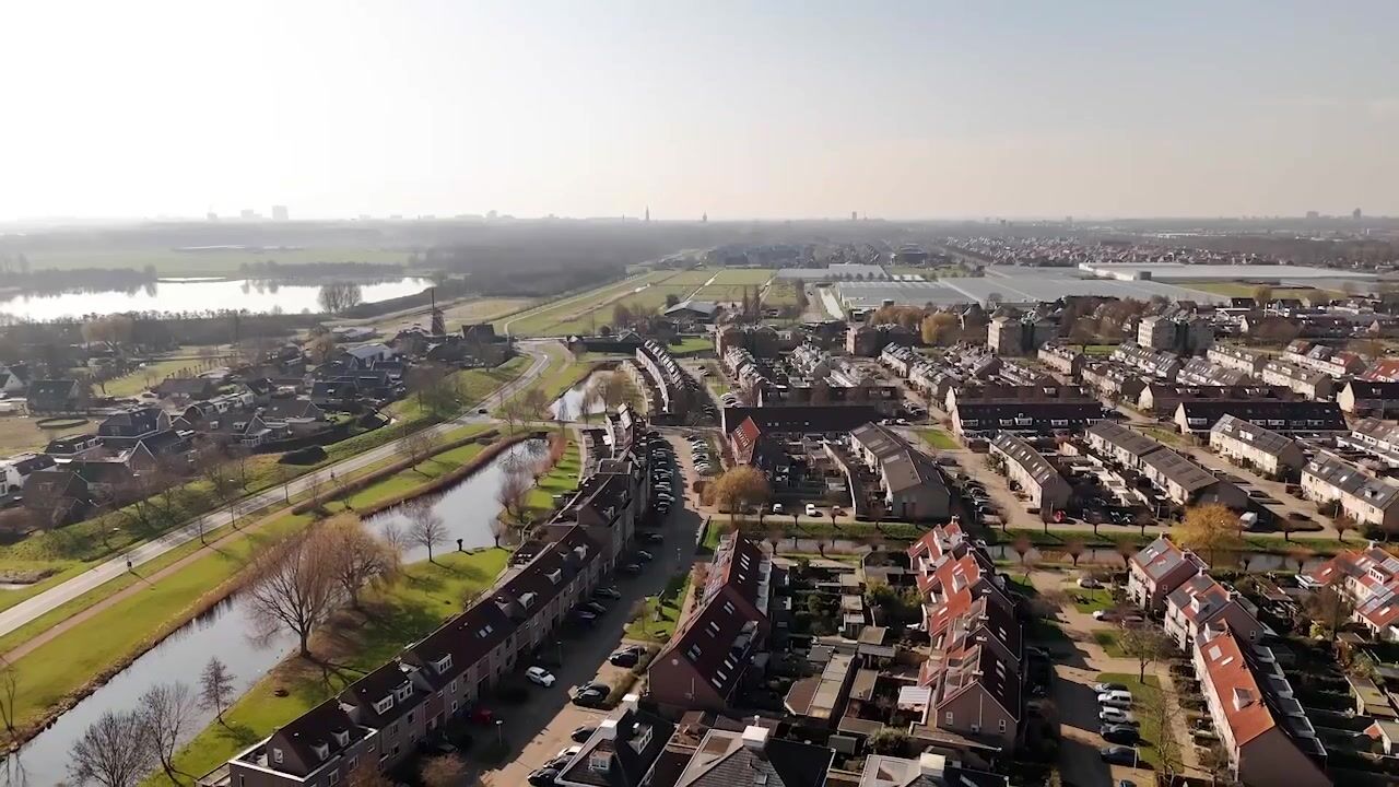 Video of Bromelia 68