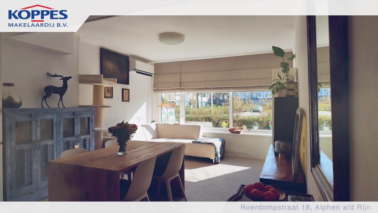 Video van Roerdompstraat 18