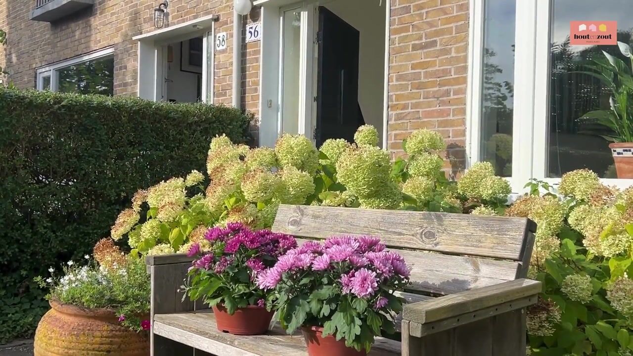 Video of Ramplaan 56