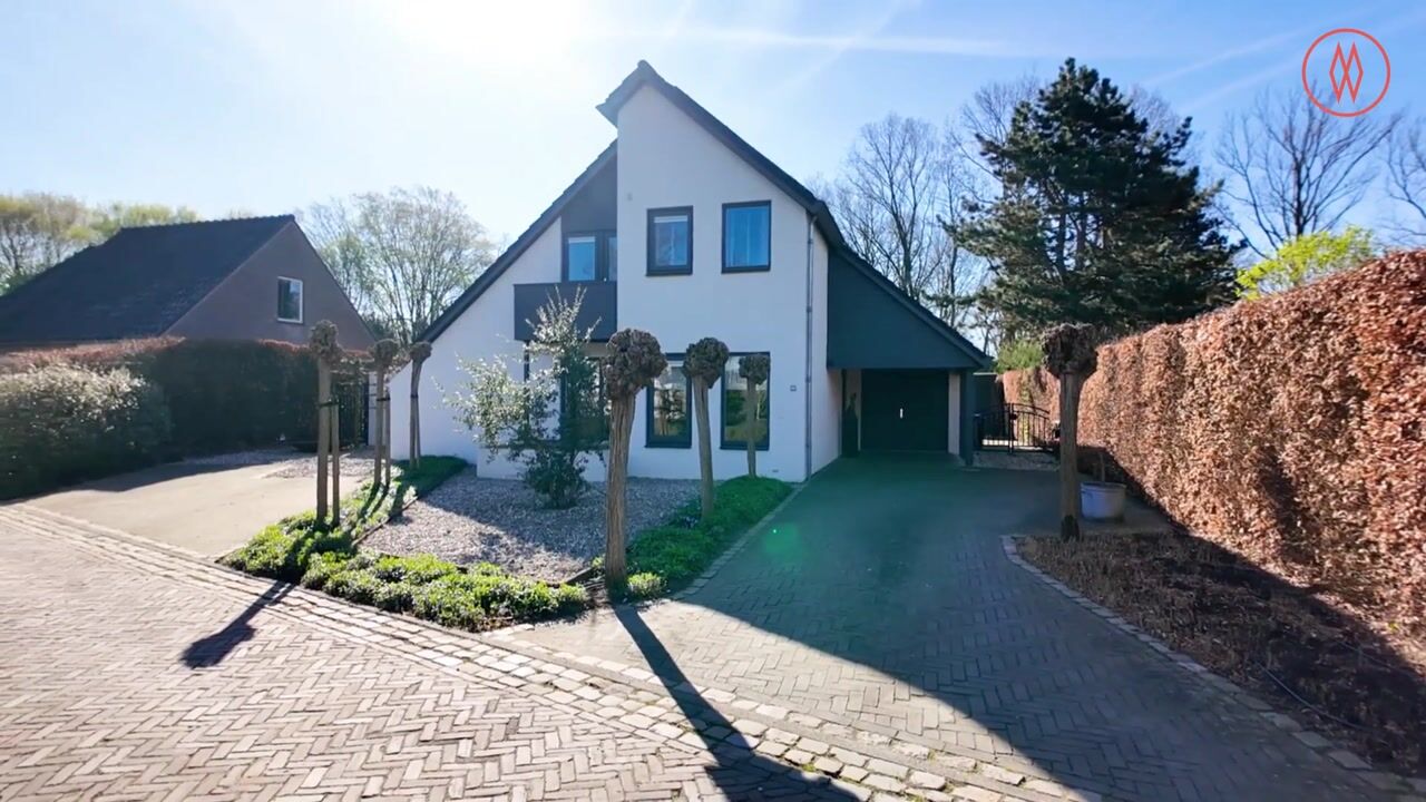 Video of Kouwenberg 90