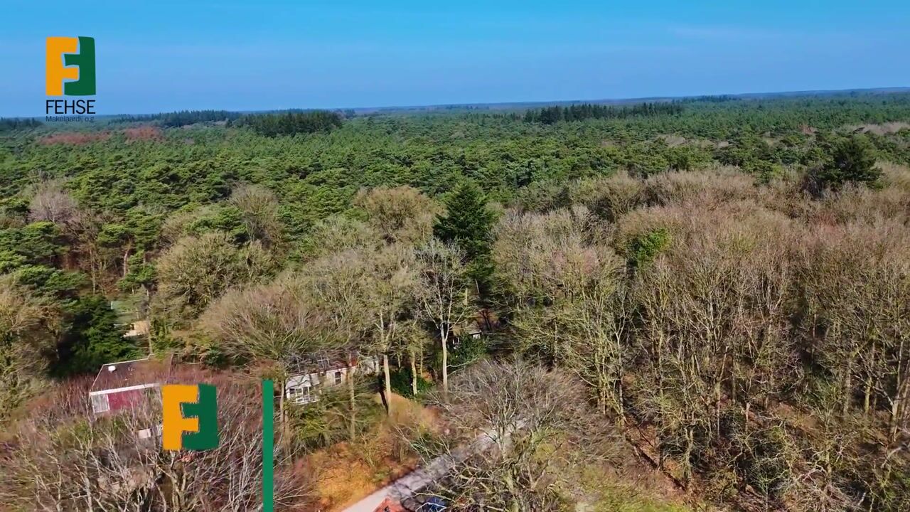 Video van Hezenes 31