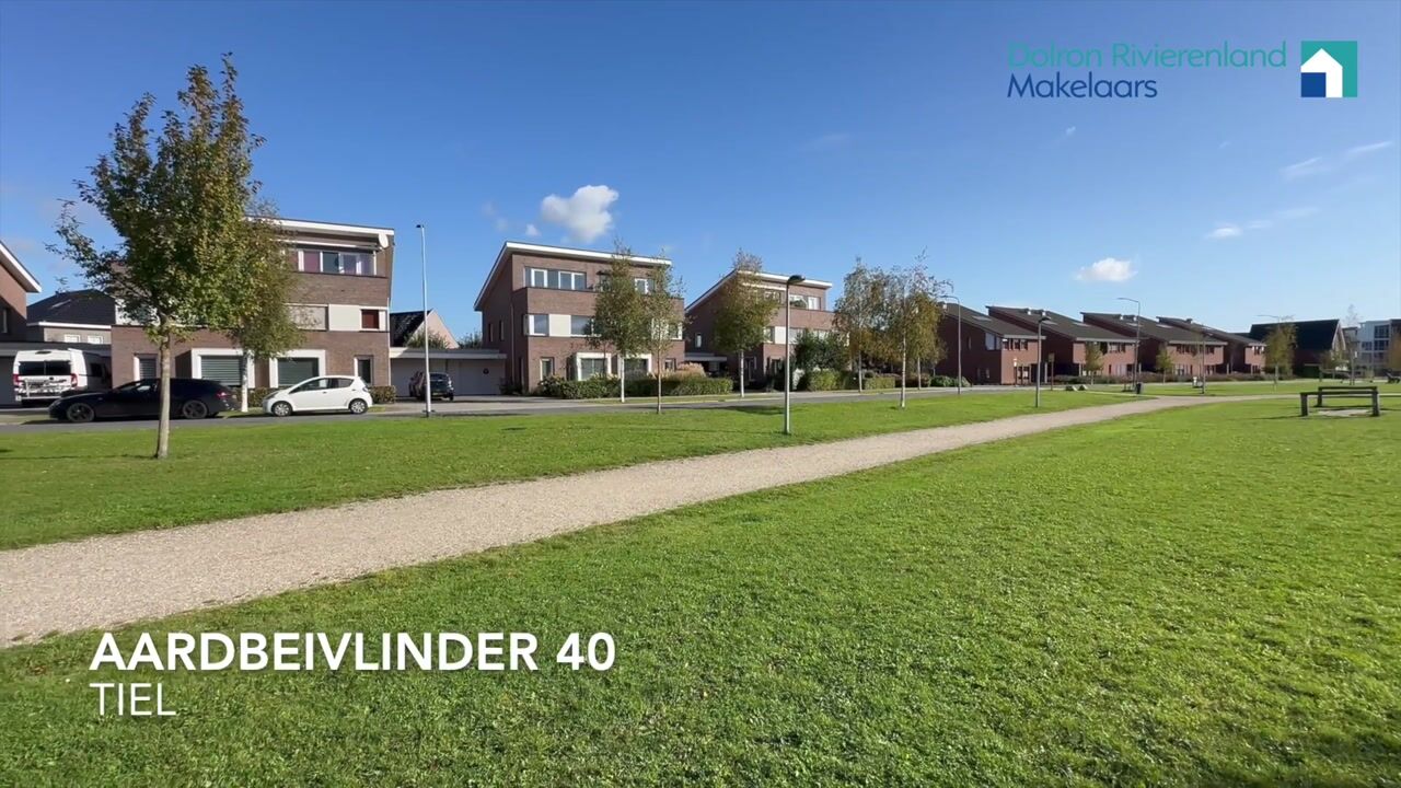 Bekijk video van Aardbeivlinder 40