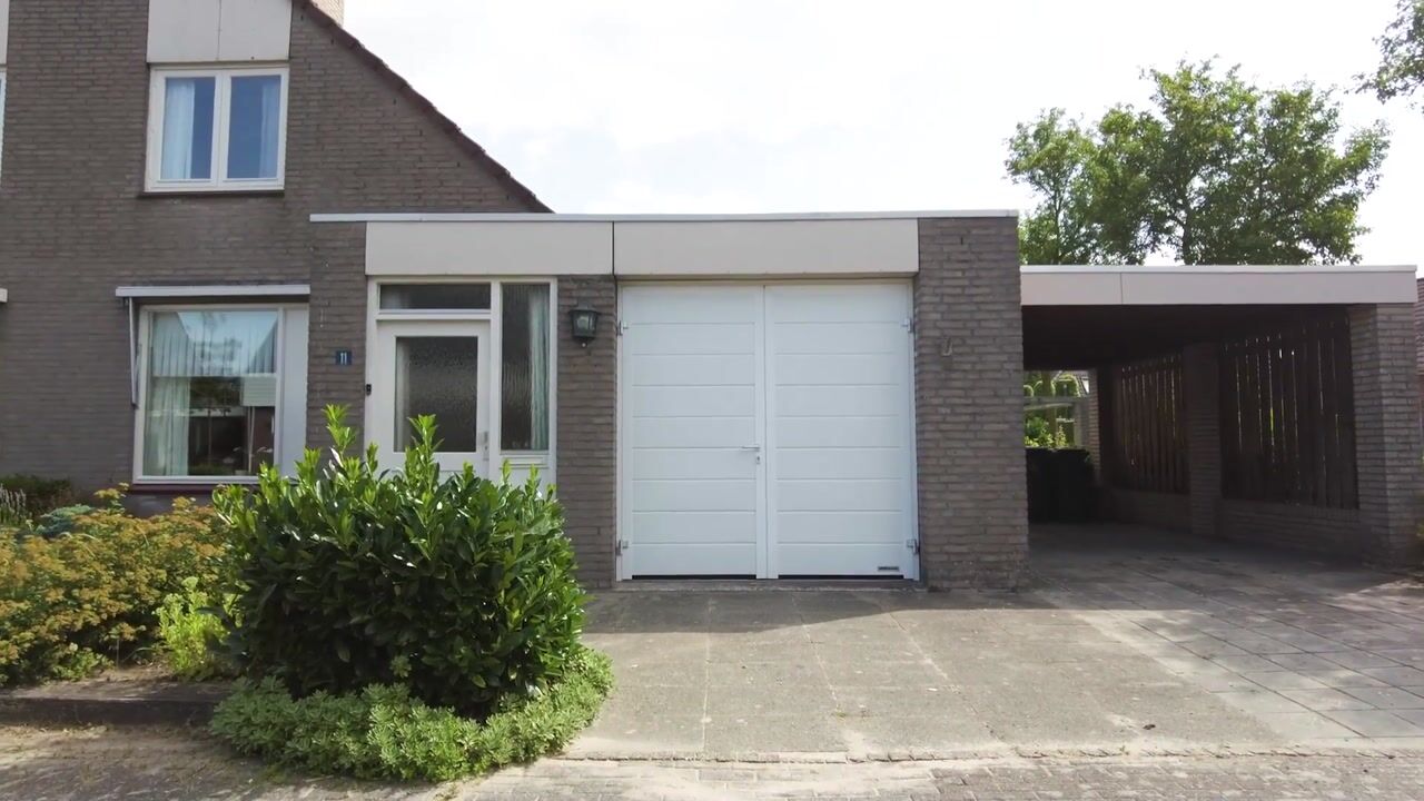 Video van Pinksterbloem 11