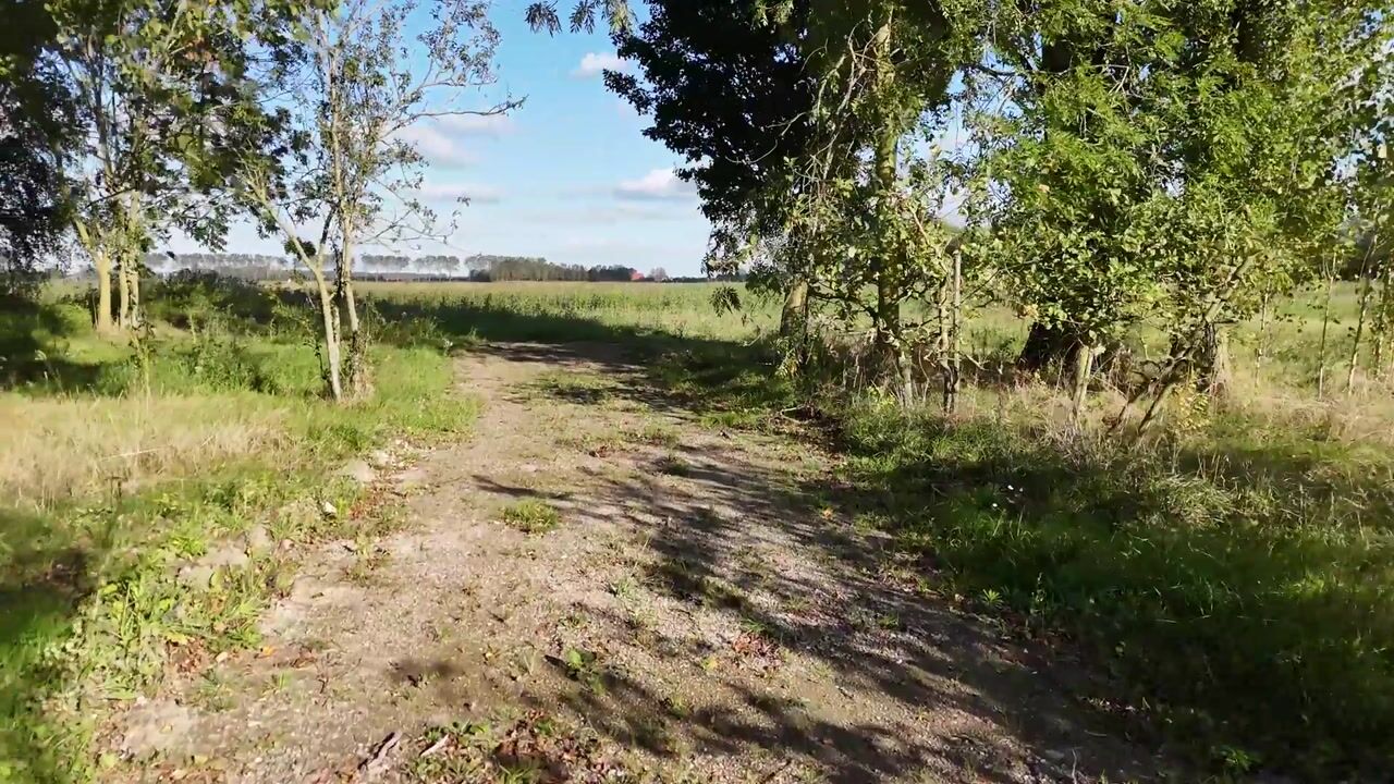 Video of Mosseldijk 15-A