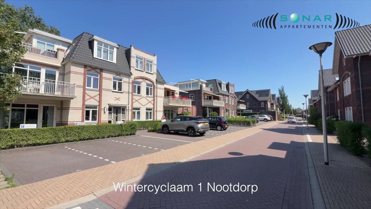 Video van Wintercyclaam 1