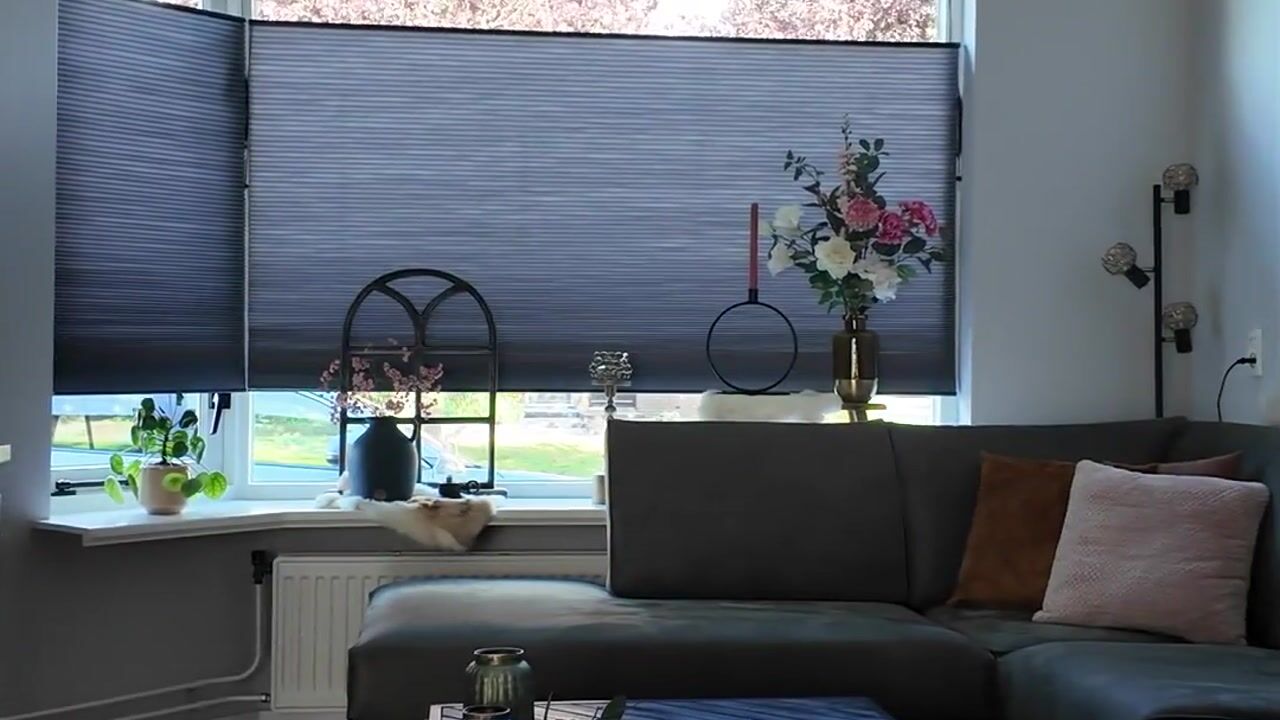 Video van Moelnaerstraat 5