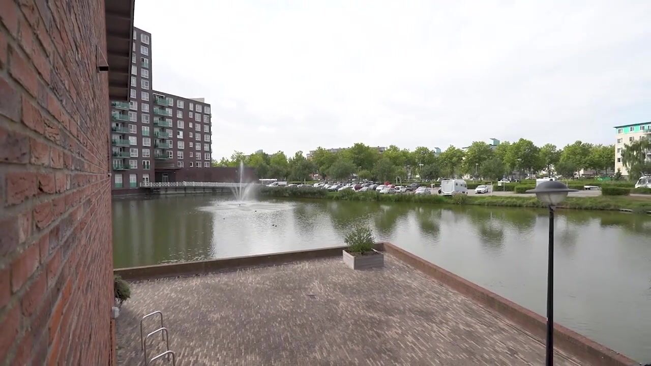 Video van Carolus Linnaeusborg 40