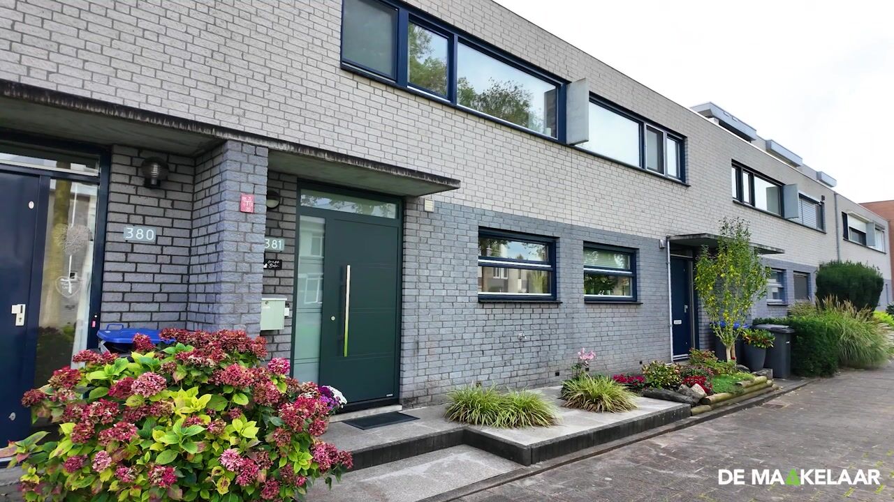 Video van Palissander 381