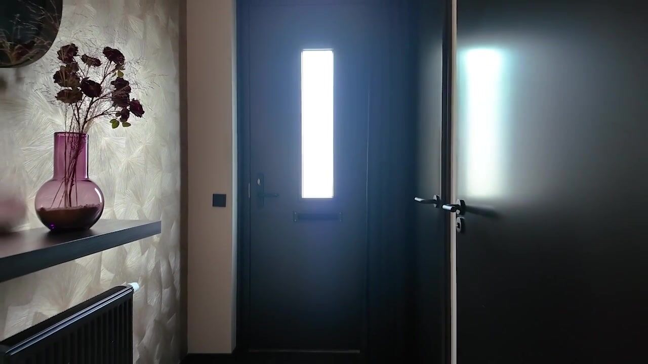 Video van Stedelaan 17
